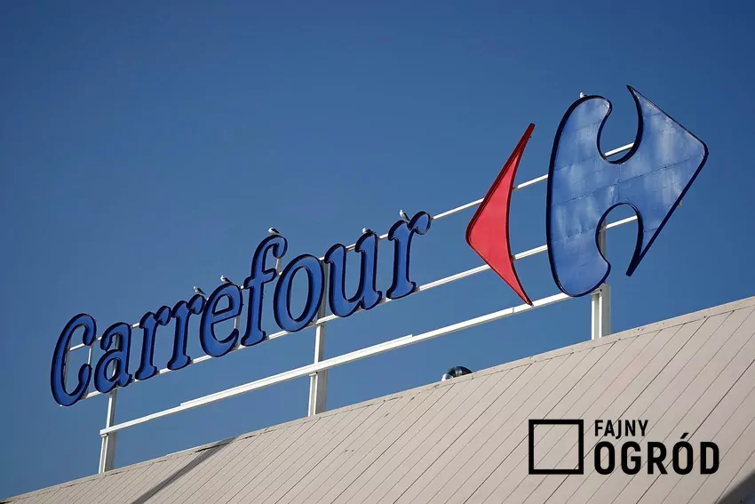 Nowe promocje w Carrefour w tym tygodniu Carrefour