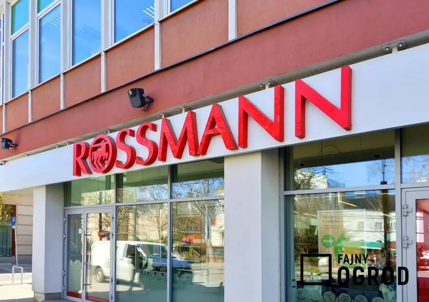 W nowej gazetce Rossmanna dużo ciekawych promocji Rossmann