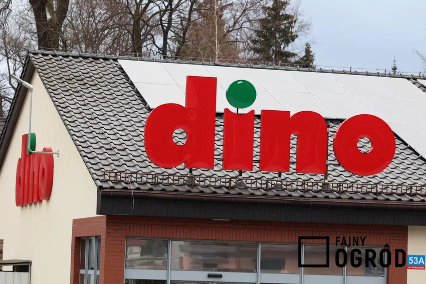 W nowej gazetce Dino dużo ciekawych promocji Dino
