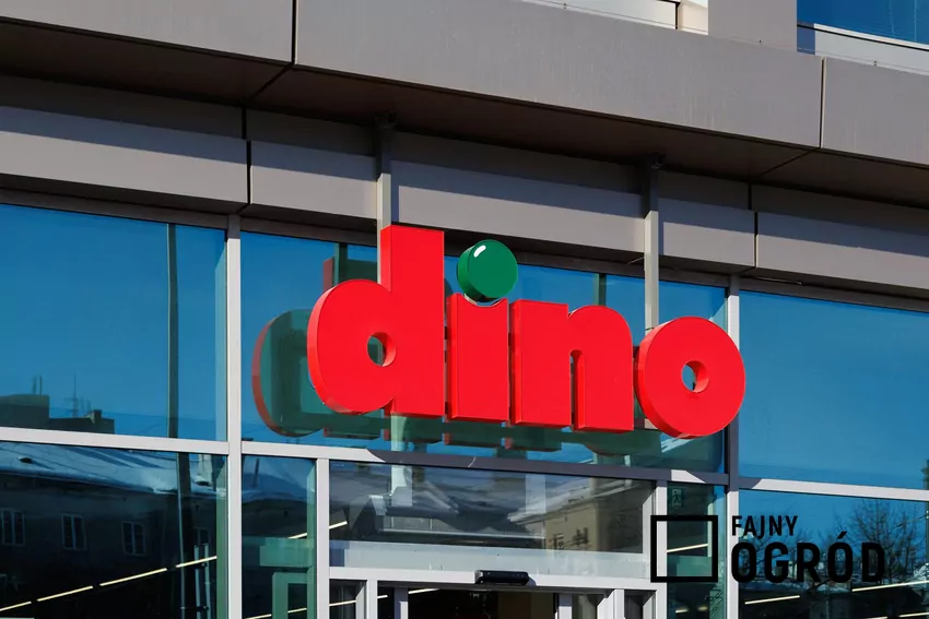 W nowej gazetce Dino dużo ciekawych promocji Dino