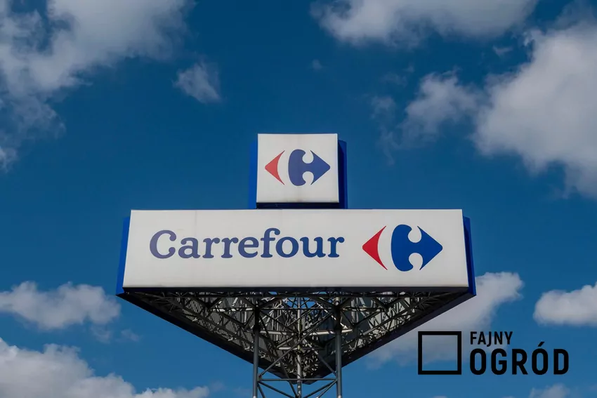 Dziś można mówić przede wszystkim o przebudowie modelu działania Carrefoura Carrefour - logo