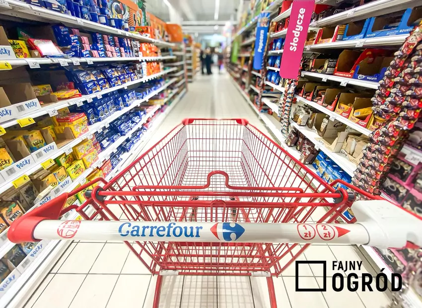 Według przedstawicieli spółki celem nie jest wycofanie się z Polski Carrefour - koszyki