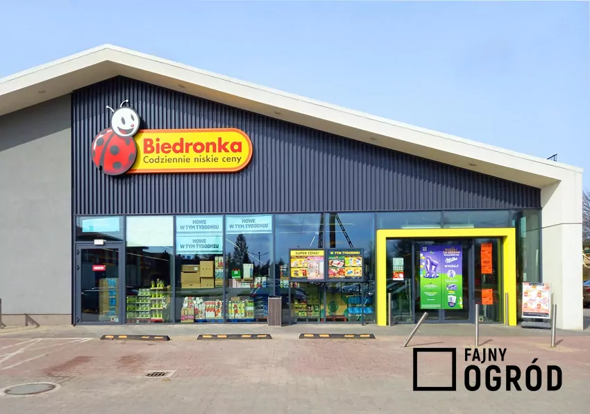 Biedronka