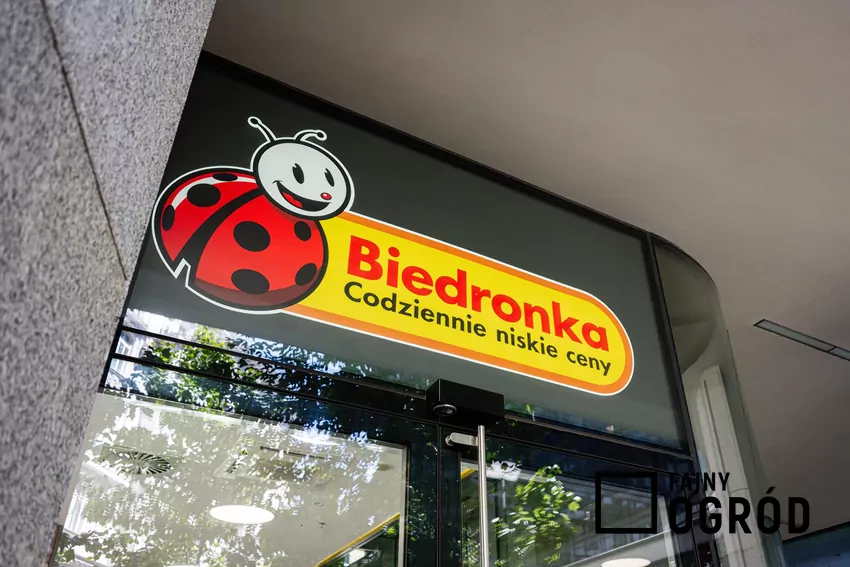 W nowej gazetce Biedronki dużo ciekawych promocji Biedronka
