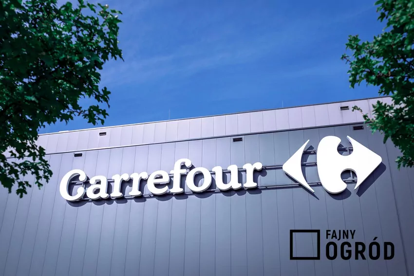 Carrefour
