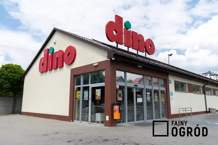 W nowej gazetce Dino dużo ciekawych promocji Dino