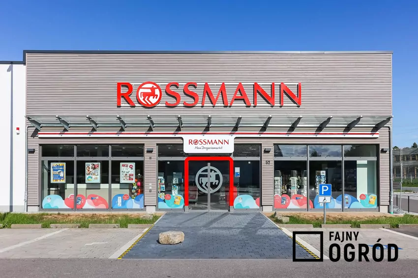 Rossmann