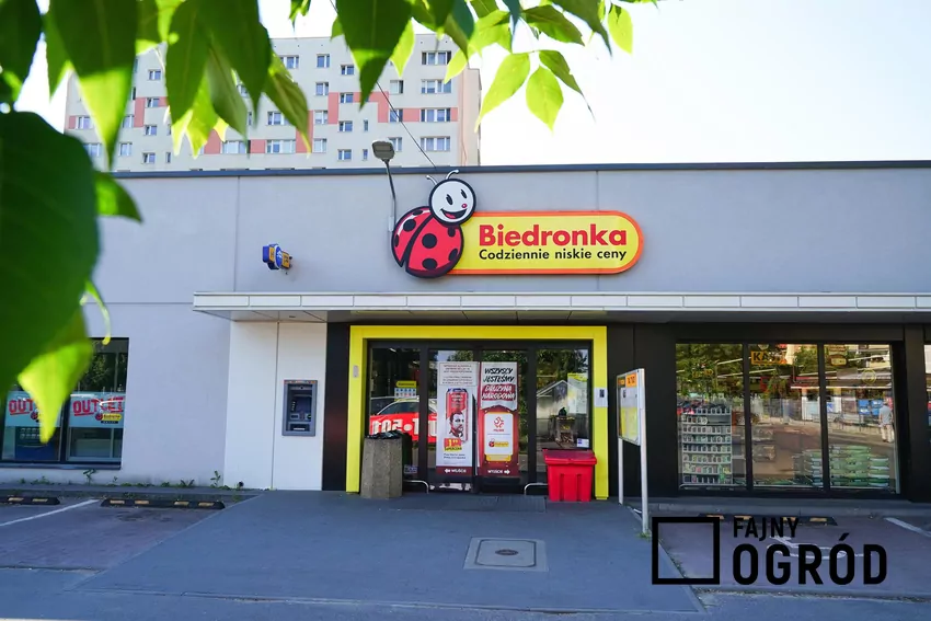 Biedronka