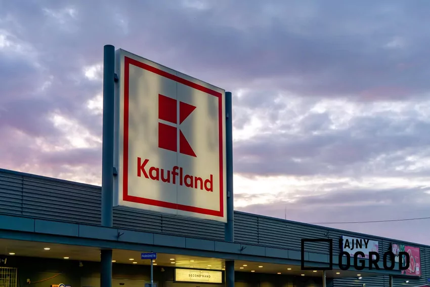 Kaufland