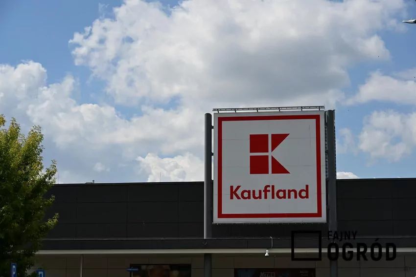Nowe rabaty w Kauflandzie w tym tygodniu Kaufland