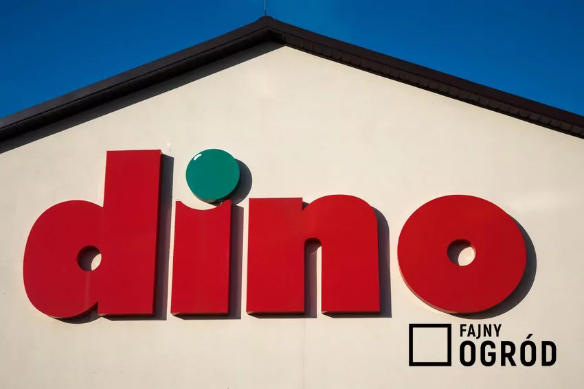 Promocja na kawę Woseba w Dino