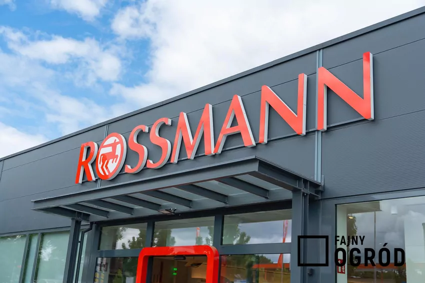 Promocja na zapach Armani w Rossmannie