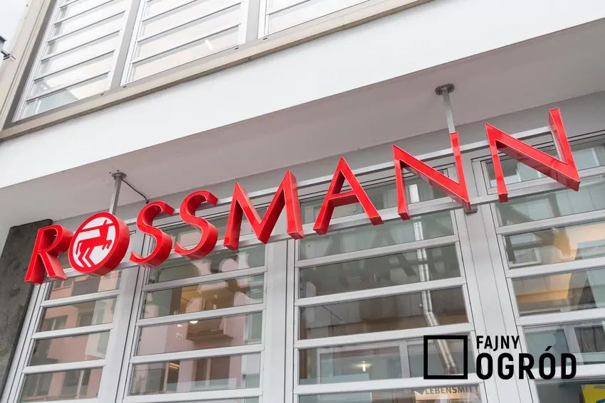 Promocja na zapach Mugler w Rossmannie
