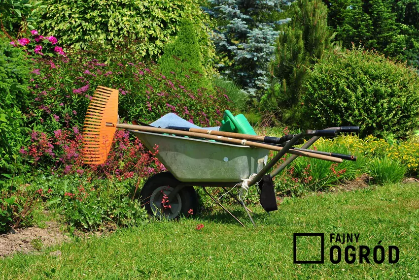 Prace ogrodowe i akcesoria oraz narzędzia do pracy w ogrodzie