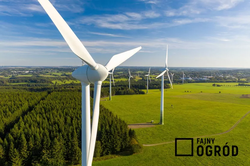 wiatraki, elektrownia wiatrowa