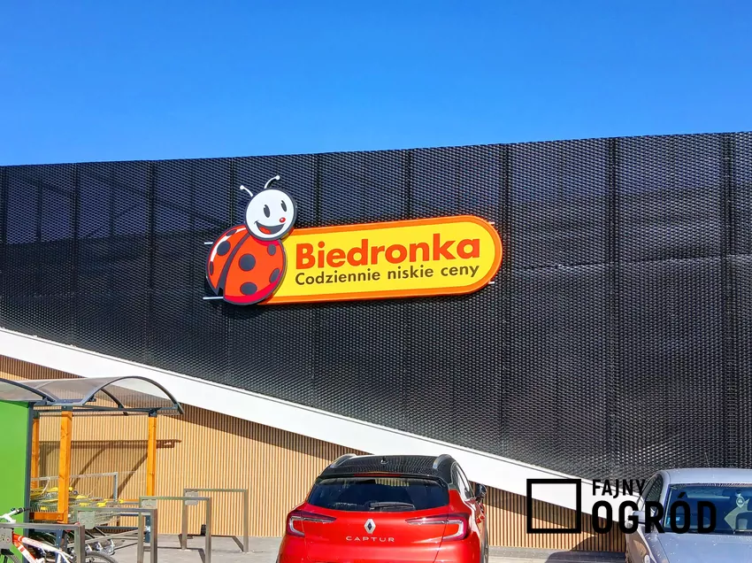 Biedronka