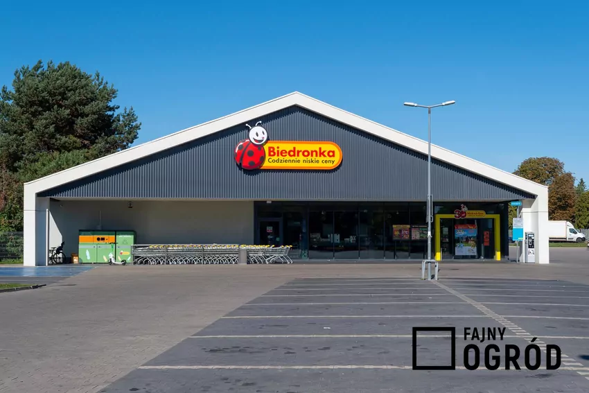 Biedronka