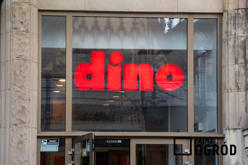 Dino