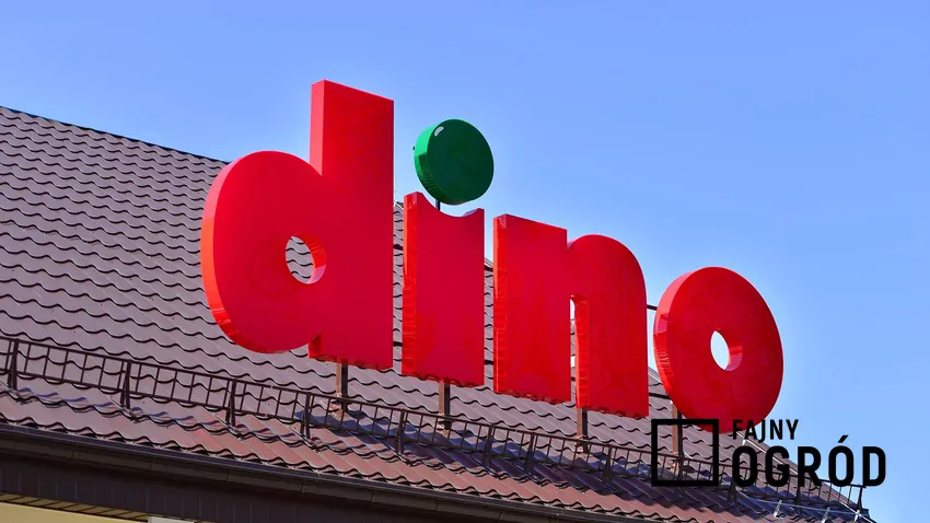 W nowej gazetce Dino dużo ciekawych promocji Dino