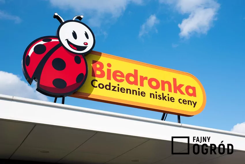 W nowej gazetce Biedronki dużo ciekawych promocji Biedronka