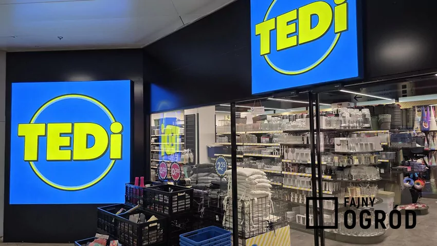 TEDi - sklep
