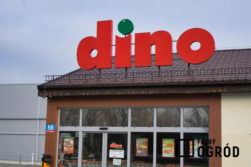 W nowej gazetce Dino dużo ciekawych promocji Dino