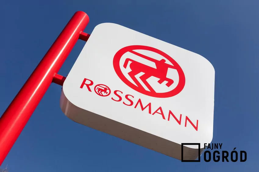 Rossmann