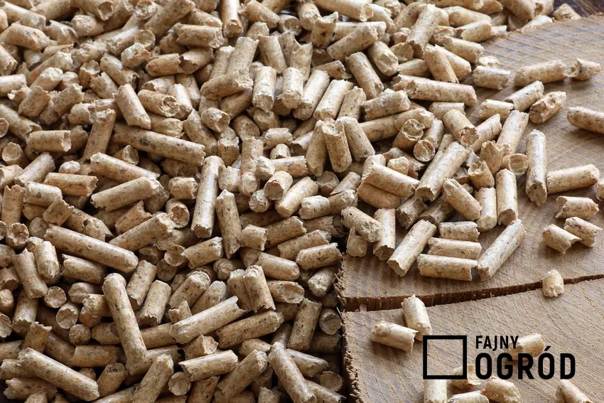 pellet drzewny