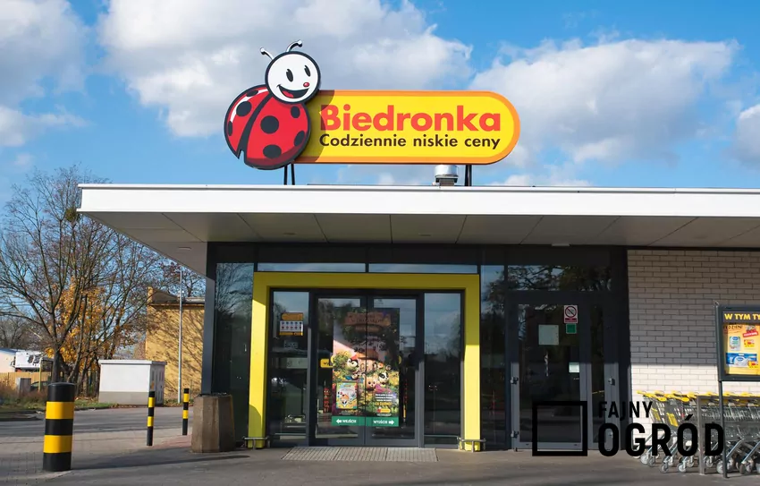 Promocja na kawę Jacobs w Biedronce
