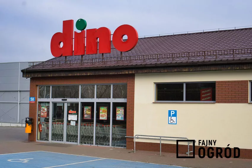 Promocja na kawę Eduscho w Dino