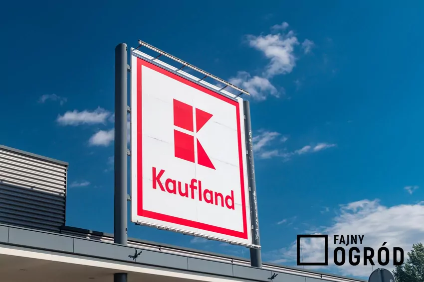 Nowe rabaty w Kauflandzie w tym tygodniu Kaufland