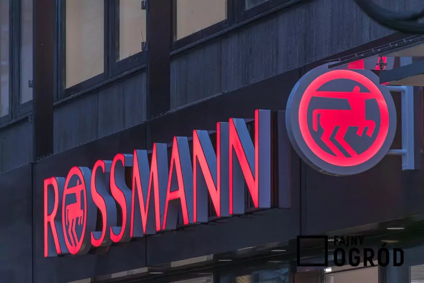 W Rossmannie dużo ciekawych promocji kosmetyków Rossmann