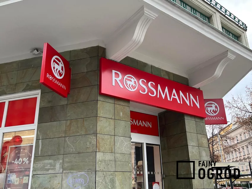 Rossmann
