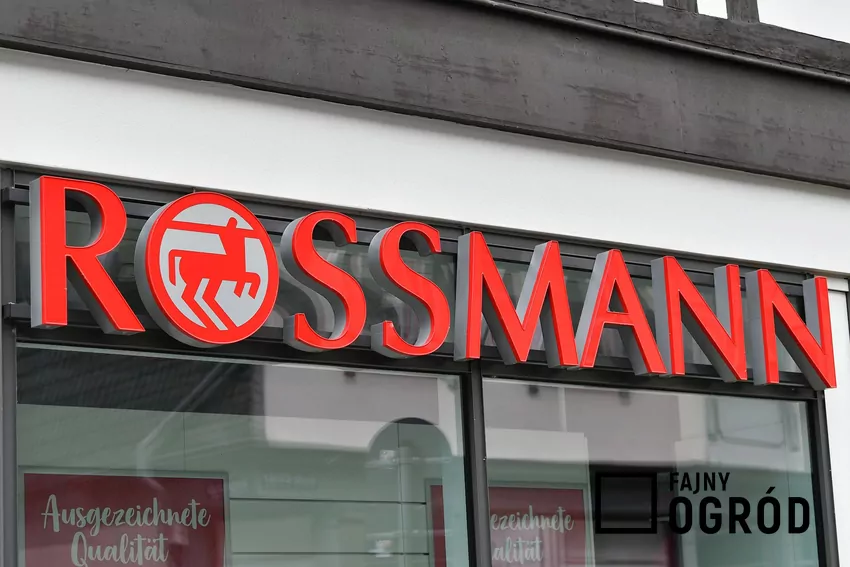 W Rossmannie dużo ciekawych promocji kosmetyków Rossmann