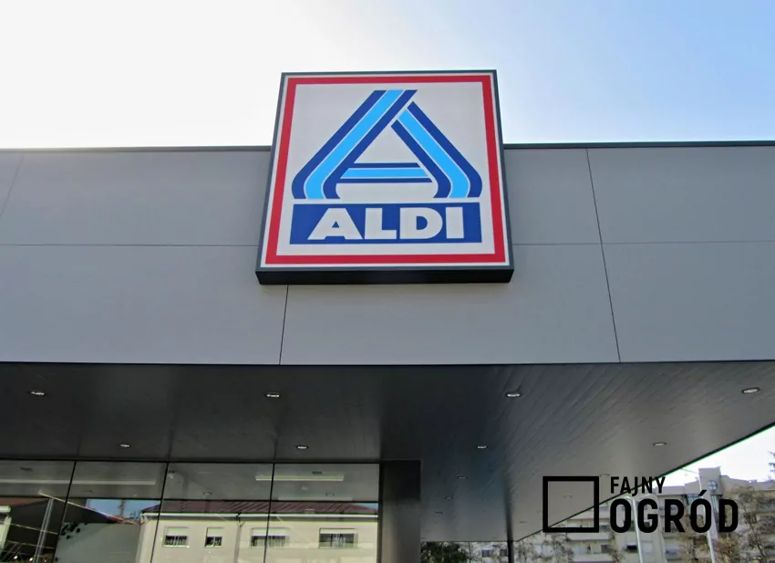 ALDI