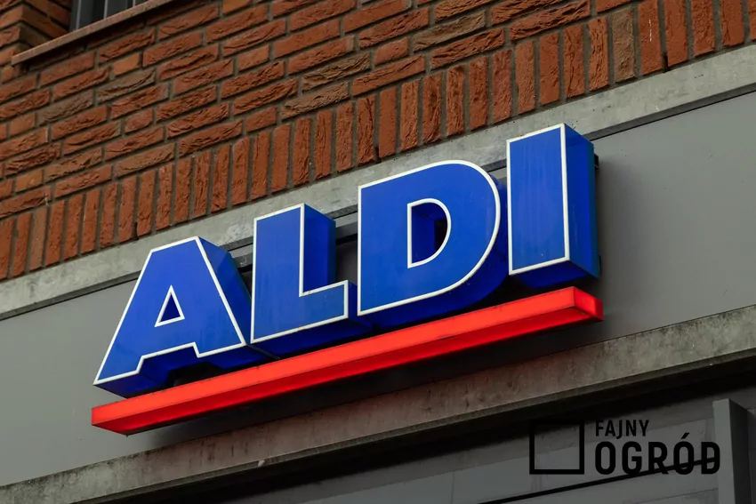 Promocja na włoską kawę w Aldi