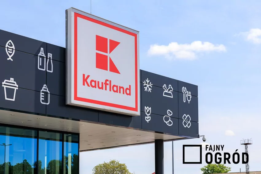Nowe promocje w Kauflandzie od czwartku Kaufland