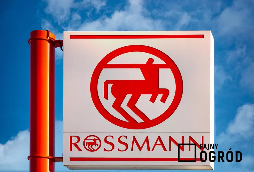 Rossmann