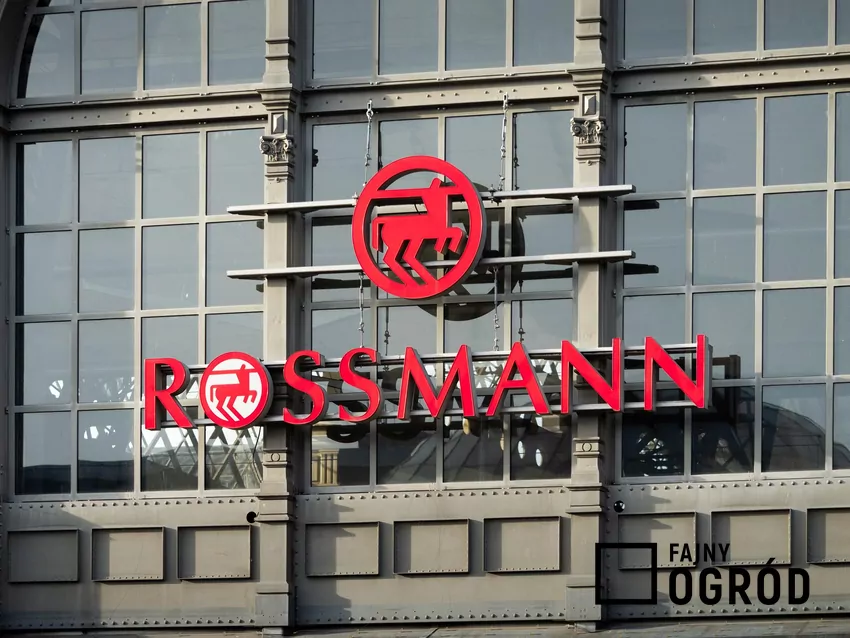 W Rossmannie dużo ciekawych promocji kultowych zapachów Rossmann