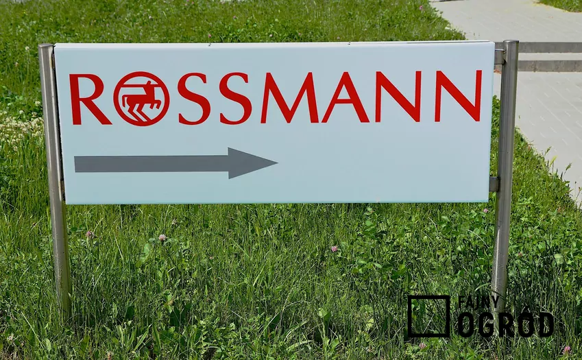 Rossmann