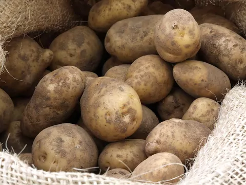 Zbudował kartoflomat do sprzedaży ziemniaków