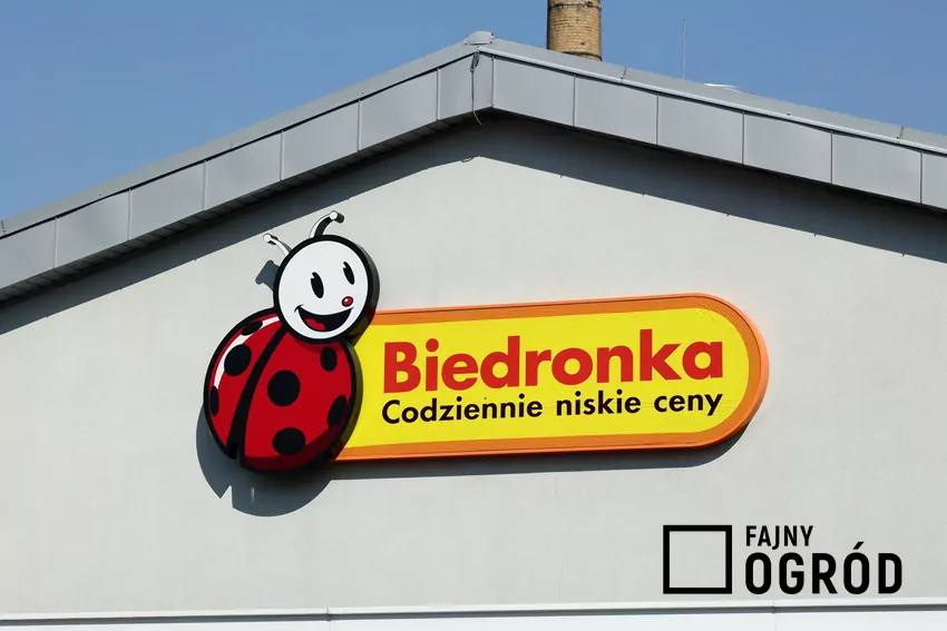 Biedronka
