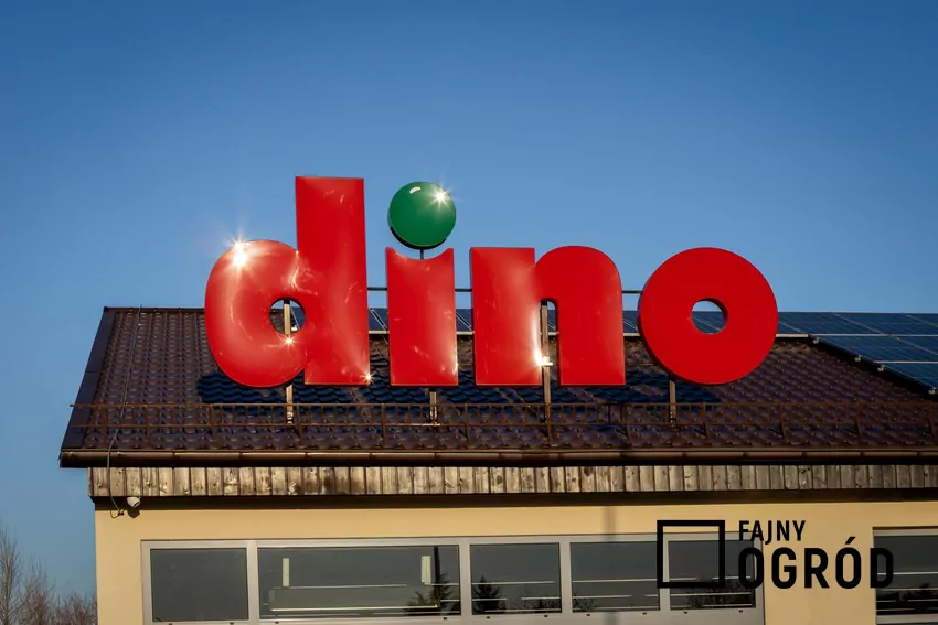 Dino