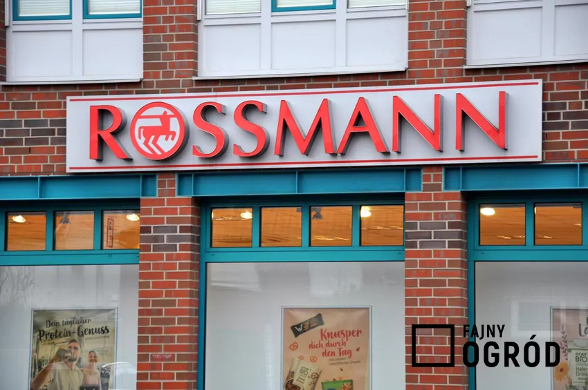 Rossmann