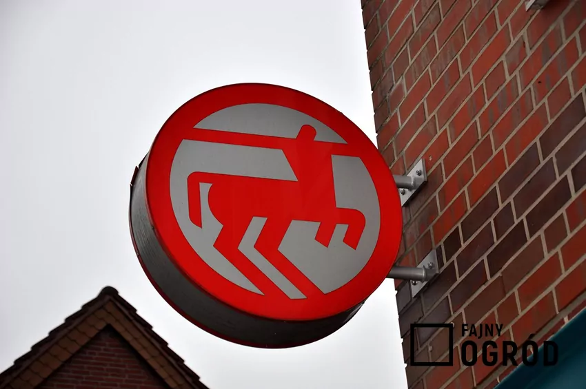 Rossmann