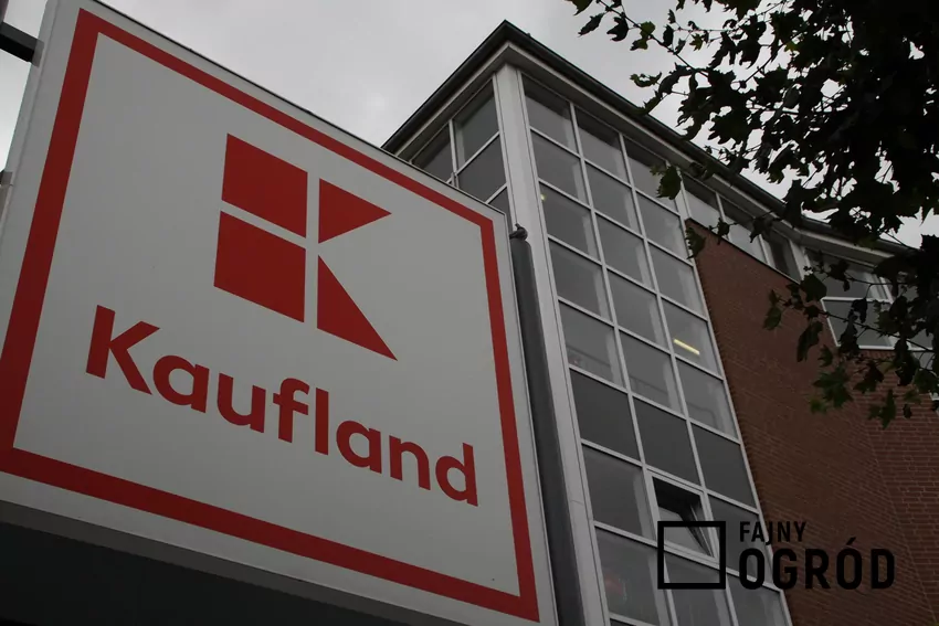 Nowe promocje w Kauflandzie od 17.09 Kaufland