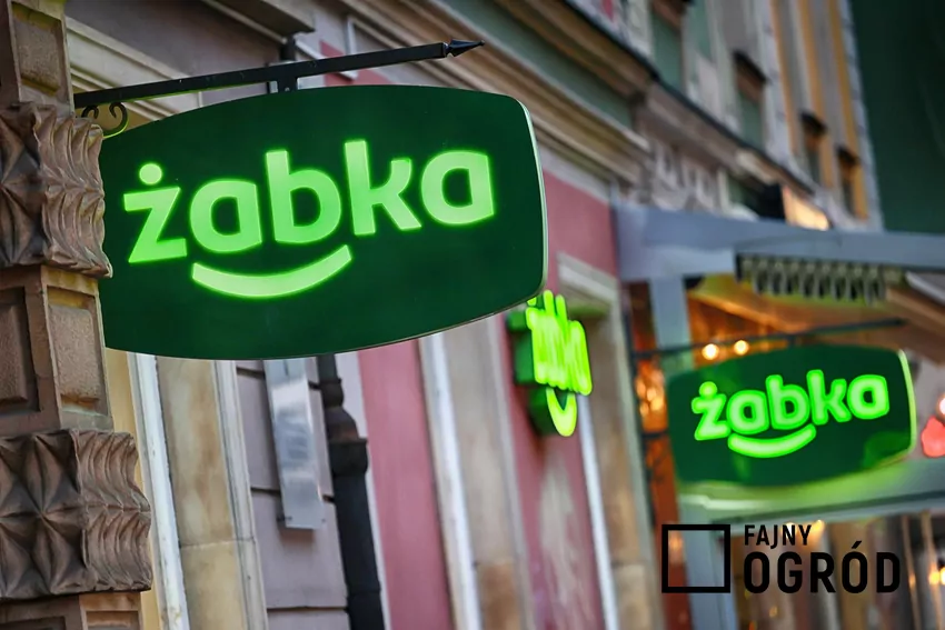 Żabka - neon