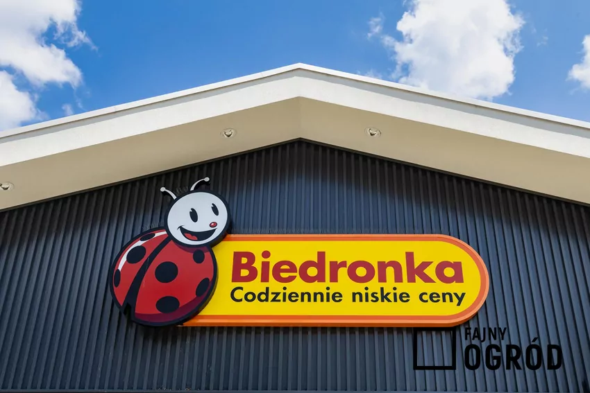 Biedronka