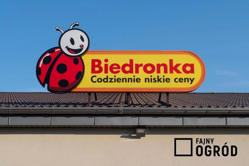 Biedronka