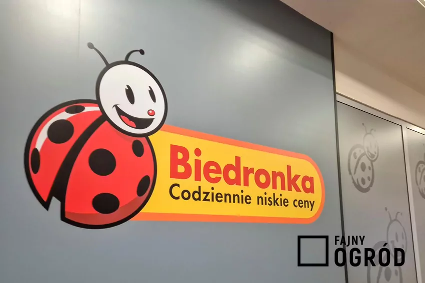 W nowej gazetce Biedronki dużo ciekawych promocji Biedronka